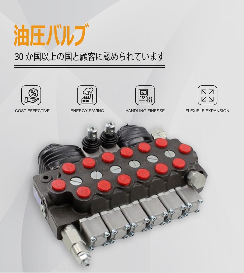 TR55 手動・ジョイスティック 6スプール モノブロック方向弁